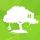 PolygonTreehouse